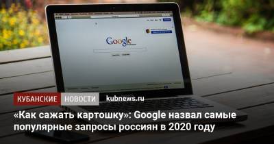 «Как сажать картошку»: Google назвал самые популярные запросы россиян в 2020 году