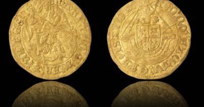 В Британии семья нашла клад из золотых монет эпохи Тюдоров, копаясь в саду