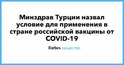 Минздрав Турции назвал условие для применения в стране российской вакцины от COVID-19