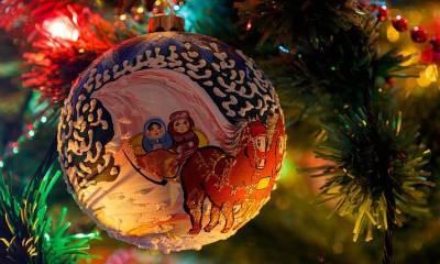 Биолог Павел Глазков рассказал о хитростях выбора и продления жизни новогодней елки