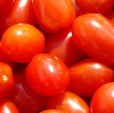Минсельхоз не ожидает дефицита томатов на внутреннем рынке