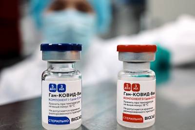 Российская вакцина от коронавируса заинтересовала Египет