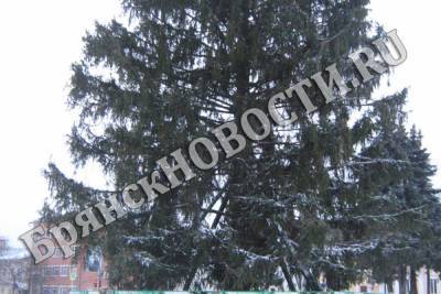 В брянском Новозыбкове устанавливают главную новогоднюю елку