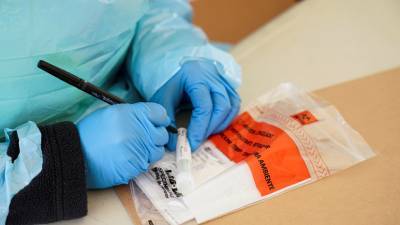 В США провели более 20 млн тестов на коронавирус