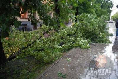 Поваленные деревья и затопленные улицы: во Львове прошел сильнейший ливень (ФОТО)