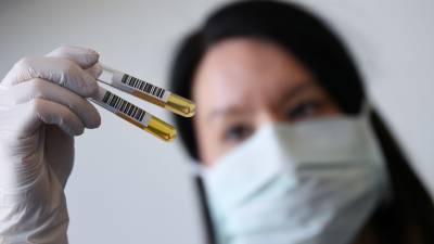 В ФРГ за сутки выявили 258 случаев заболевания коронавирусом