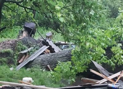 Мощный ураган во Львове убил женщину: подробности трагедии