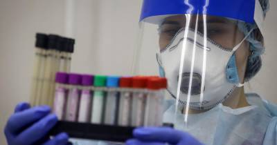 В России проведено более 14 млн тестов на коронавирус