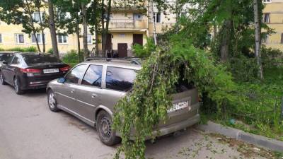 Дерево упало на машины на Ленинском проспекте