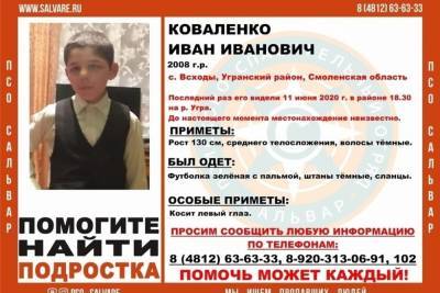 В Угранском районе Смоленской области пропал 12-летний мальчик