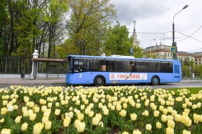 Более 15 автобусов столицы поменяют маршрут в праздничные выходные