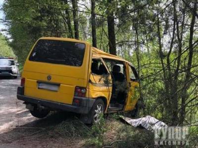 На Житомирщине водитель Volkswagen T-4 врезался в дерево: один погибший, трое травмировано