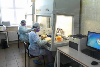 На коронавирус в Тверской области обследованы практически 90 тысяч человек