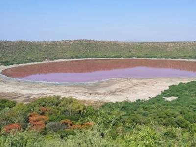 В Индии озеро внезапно порозовело