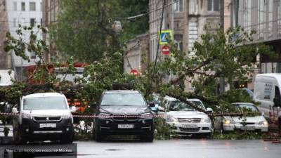 Штормовое предупреждение объявили в Воронеже