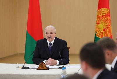 Лукашенко считает, что загородные участки «копейки сегодня стоит»