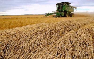 В США снизили прогноз урожая Украины