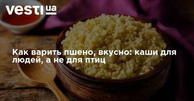 Как варить пшено, вкусно: каши для людей, а не для птиц - vesti.ua