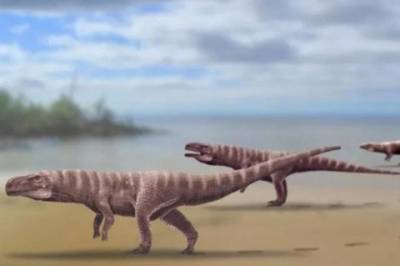 Ученые в Южной Корее обнаружили следы двуногого предка крокодилов