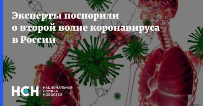 Эксперты поспорили о второй волне коронавируса в России