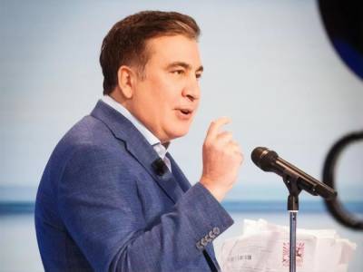 В МИД Грузии рассказали о дальнейших отношениях с Киевом после назначения Саакашвили