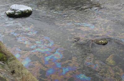 В реках Восточный и Западный Дагомыс заметили огромное нефтяное пятно - оно движется в сторону Чёрного моря