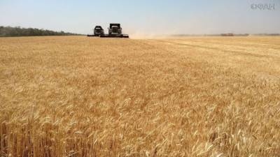 Сельское хозяйство в Чувашии получит увеличенные на 500 млн рублей субсидии на развитие