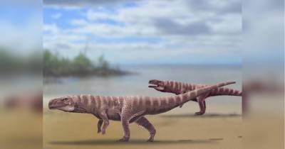 Ученые обнаружили следы ископаемой «помеси» крокодила и страуса (фото)