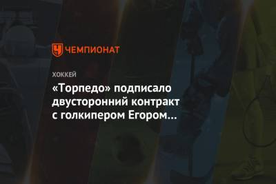 «Торпедо» подписало двусторонний контракт с голкипером Егором Синегубкиным