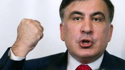 Выдворили Саакашвили в Польшу: пограничникам грозит от 3 до 8 лет лишения свободы