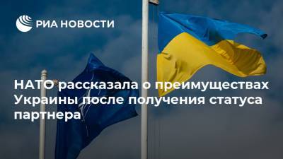 НАТО рассказала о преимуществах Украины после получения статуса партнера