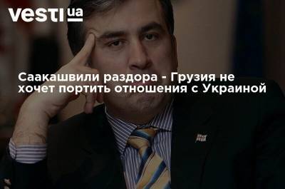 Саакашвили раздора - Грузия не хочет портить отношения с Украиной