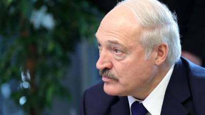 Лукашенко призвал заменить топливо опилками, чтобы не «выпрашивать газ и нефть»