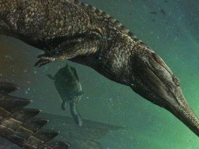 Древние виды крокодилов, жившие около 120 миллионов лет назад, могли ходить на двух задних лапах