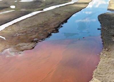 В Сочи обнаружили нефтяное пятно, которое движется по реке в сторону Черного моря