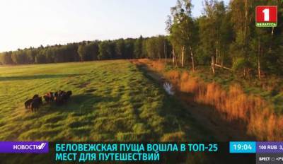 Беловежская пуща вошла в топ-25 мест для путешествий по версии National Geographic
