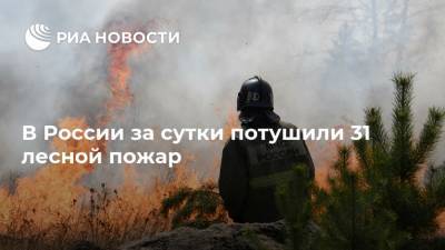 В России за сутки потушили 31 лесной пожар