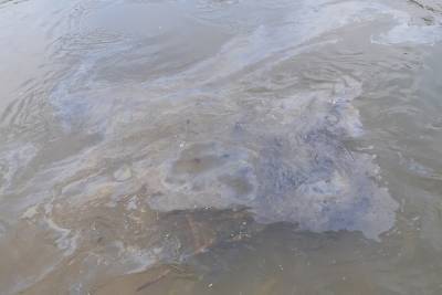 В реке под Рязанью обнаружили следы нефтепродуктов