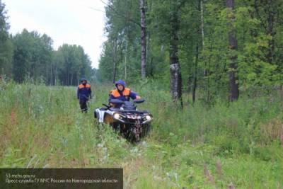 МЧС организовало поиски пропавшей в Алтайском крае 8-летней девочки