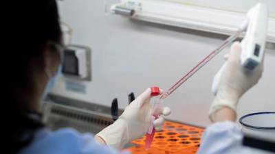 В России за сутки подтвердили 8706 случаев коронавируса