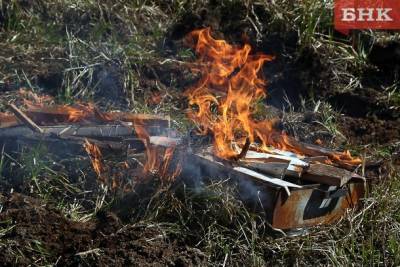 В МЧС по Коми предупредили о чрезвычайно высоком классе пожароопасности в лесах