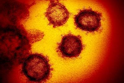 В России за сутки от коронавируса умерло 114 человек