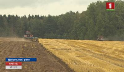 Каравай Минской области весит уже триста тридцать тысяч тонн