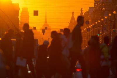 Петербург в субботу ждет солнечная погода с теплом выше нормы