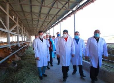 Араик Арутюнян посетил племенные скотоводческие хозяйства Аскеранского района