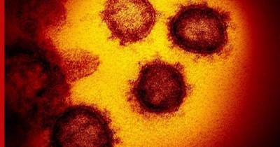 Итальянские ученые выяснили, за какое время солнце убивает коронавирус
