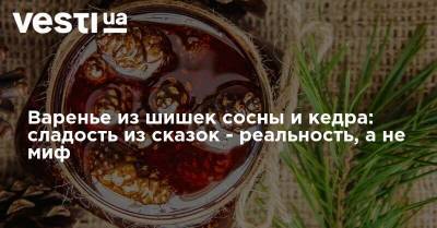 Варенье из шишек сосны и кедра: сладость из сказок - реальность, а не миф - vesti.ua