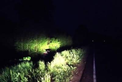 Водитель легковушки получил травмы, столкнувшись с лосем на трассе в Тверской области