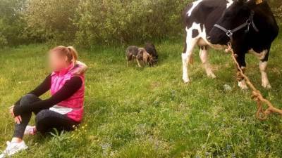 В Петербурге корова по кличке "Императрица" сбежала через забор
