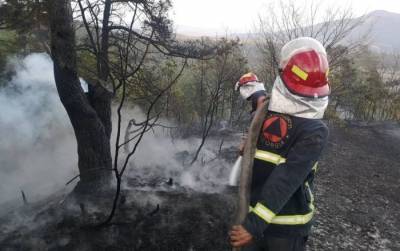 На окраине Тбилиси произошел пожар